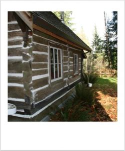 Stylish Log Cabin Decor on a Budget Image